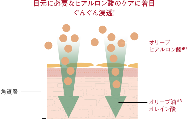 目元に必要なヒアルロン酸のケアに着目。ぐんぐん浸透！