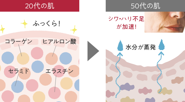 50代の肌はシワ・ハリ不足が加速！