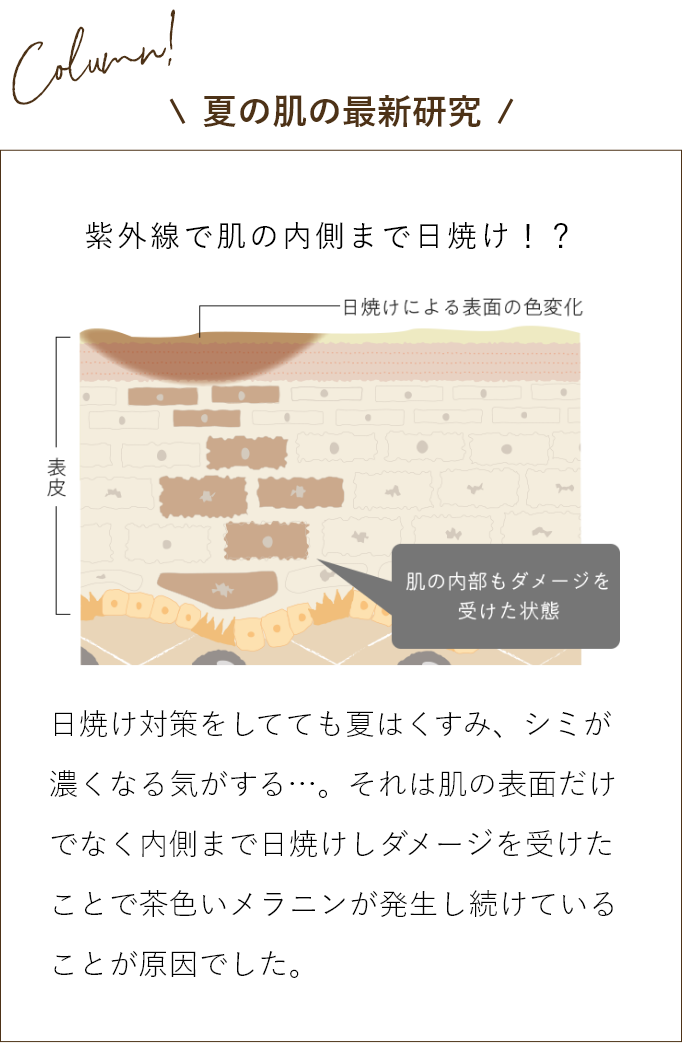 夏の肌の最新研究　紫外線で肌の内側まで日焼け!?　日焼け対策をしてても夏はくすみ、シミが濃くなる気がする・・・。それは肌の表面だけではなく内側まで日焼けしダメージを受けたことで茶色いメラニンが発生し続けていることが原因でした。