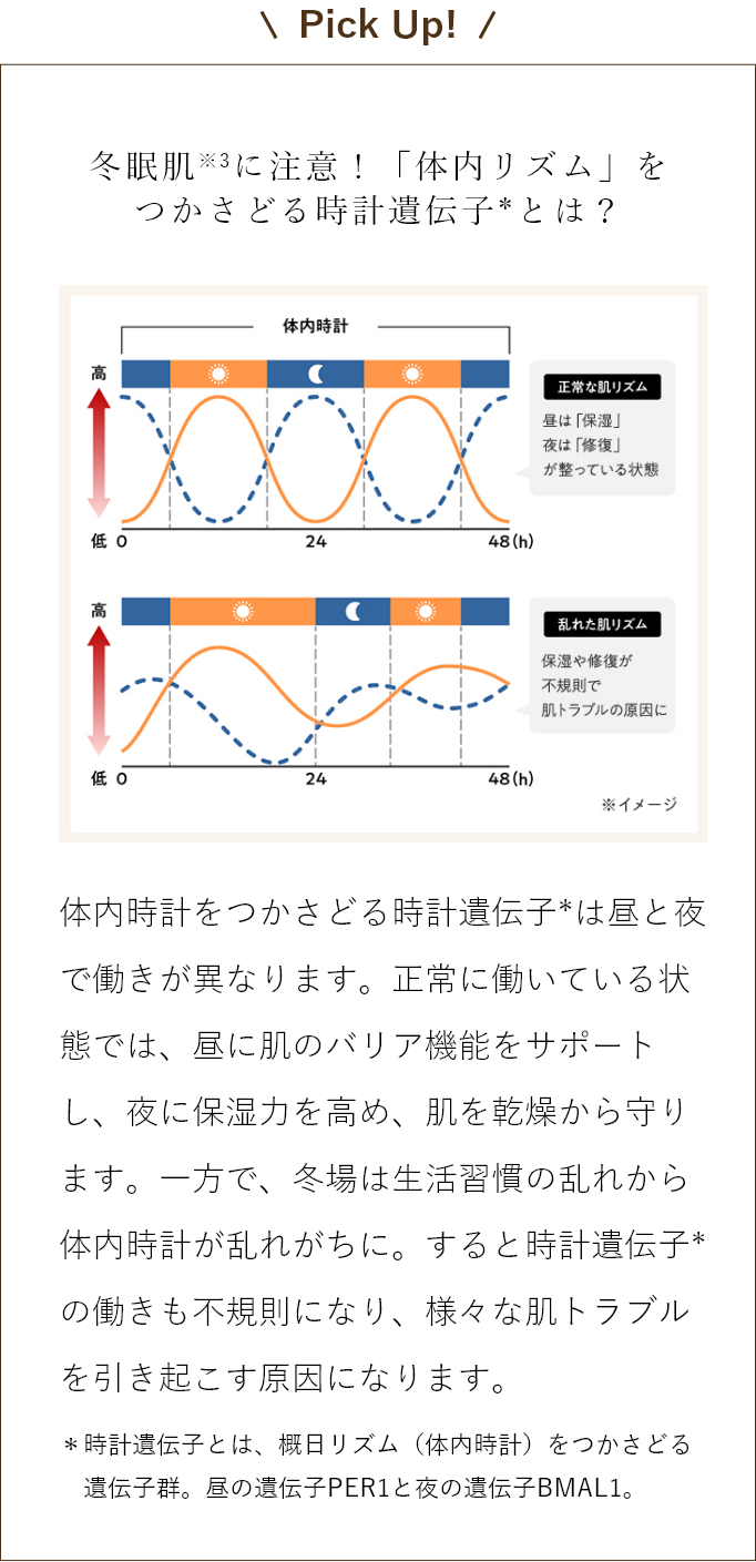 Pick Up!　冬眠肌※3に注意！「体内リズム」をつかさどる時計遺伝子※とは？　体内時計をつかさどる時計遺伝子*は昼と夜で働きが異なります。正常に働いている状態では、昼に肌のバリア機能をサポートし、夜に保湿力を高め、肌を乾燥から守ります。一方で、冬場は生活習慣の乱れから体内時計が乱れがちに。すると時計遺伝子*の働きも不規則になり、様々な肌トラブルを引き起こす原因になります。