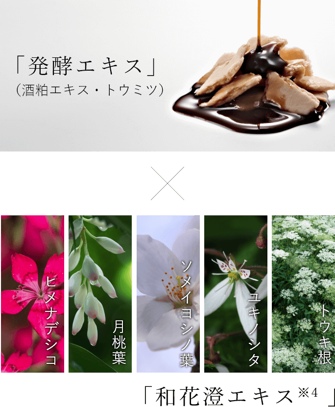 「発酵エキス」×「和花澄エキス※4」