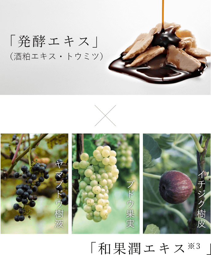 「発酵エキス」×「和果潤エキス※3」