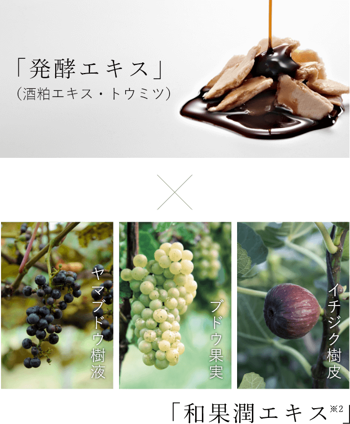 「発酵エキス」×「和果潤エキス※2」