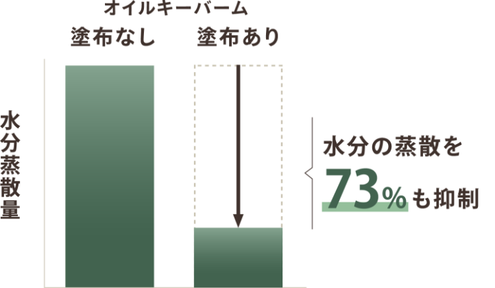 オイルバームを塗布すると水分の蒸散を73%も抑制