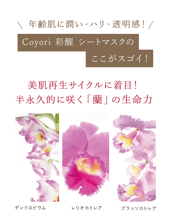 豆腐の盛田屋 つくもスキンケア4点セット❤️coyori彩醒シートマスク4枚 Coyori彩醒シートマスク｜【公式】Coyori（こより）｜国産