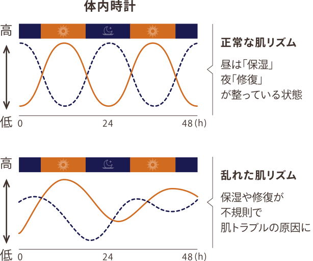 体内時計