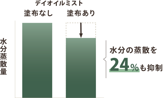 デイオイルミストを塗布すると水分の蒸散を24%も抑制