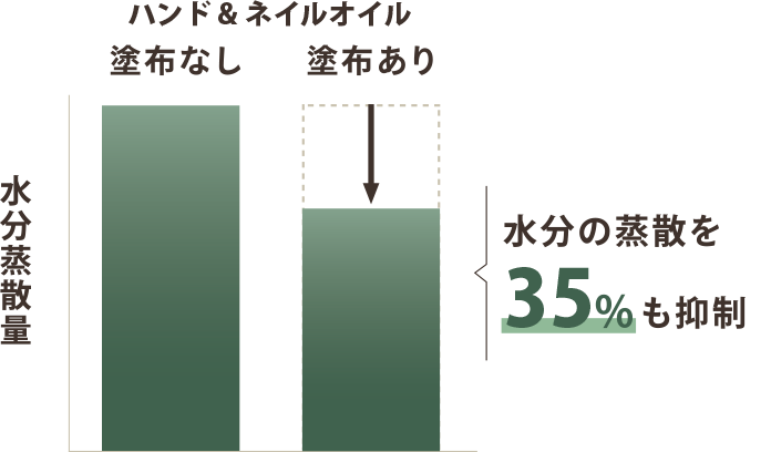 ハンド＆ネイルオイルを塗布すると水分の蒸散を35%も抑制