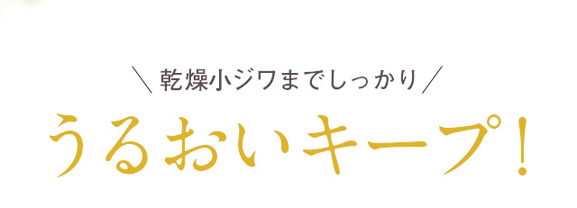 乾燥小ジワまでしっかり