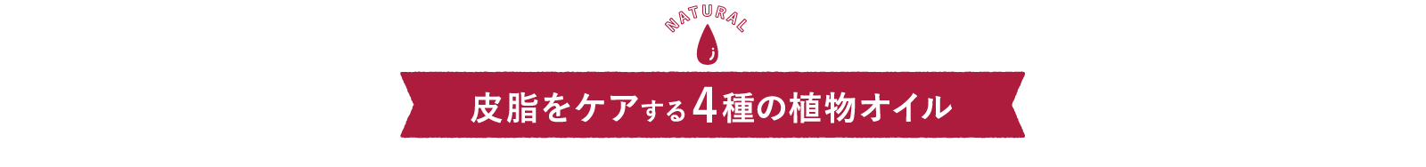 皮脂をケアする4種の植物オイル