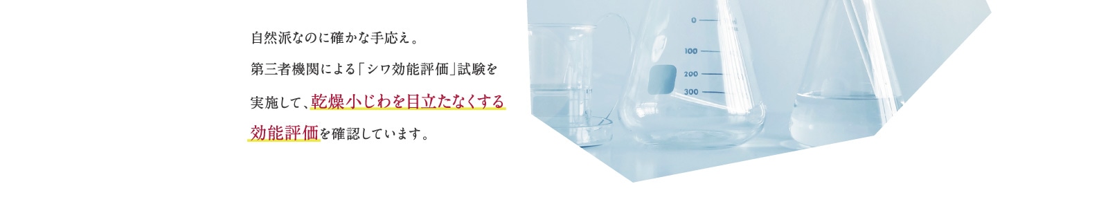 乾燥小じわを目立たなくする効能評価を確認しています。