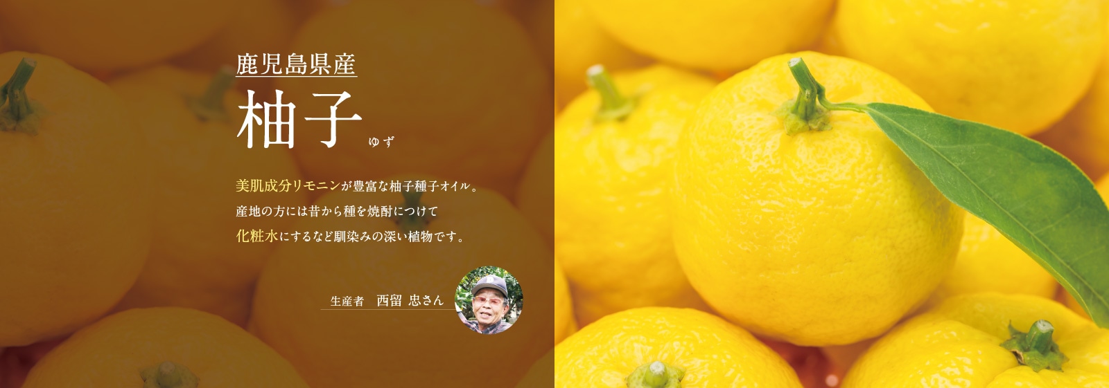 鹿児島県産 柚子