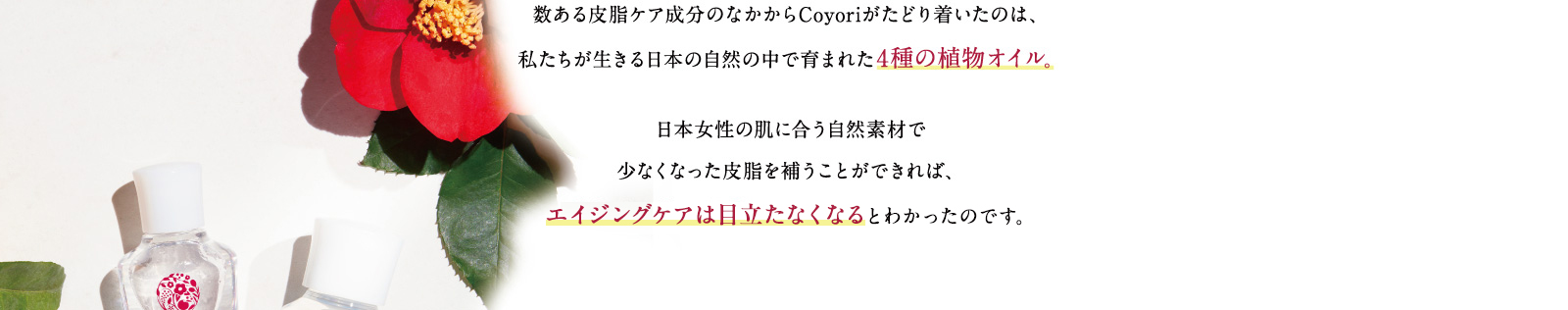 日本女性の肌に合う自然素材で少なくなった皮脂を補うことができれば、エイジングケアは目立たなくなるとわかったのです。