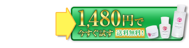 980円モニターに参加する