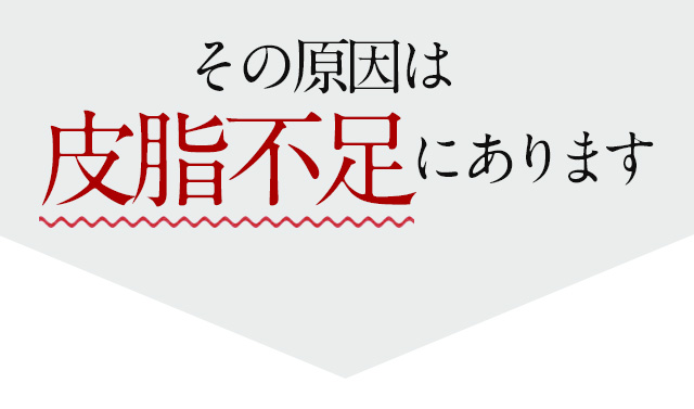 その原因は皮脂不足にあります