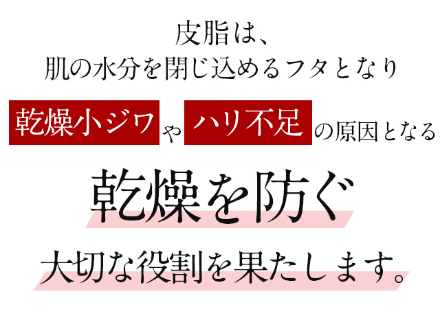 皮脂は乾燥を防ぐ大切な役割を果たします