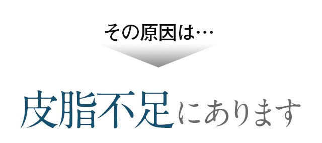 その原因は… 皮脂不足にあります