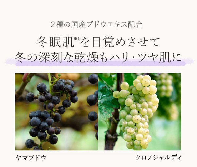 冬眠肌を目覚めさせて、冬の深刻な乾燥もハリ・ツヤ肌に