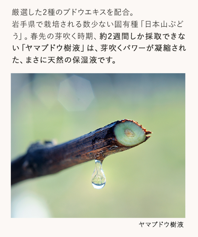 厳選した2種のブドウエキスを配合。