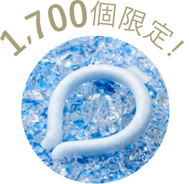 1,700個限定！