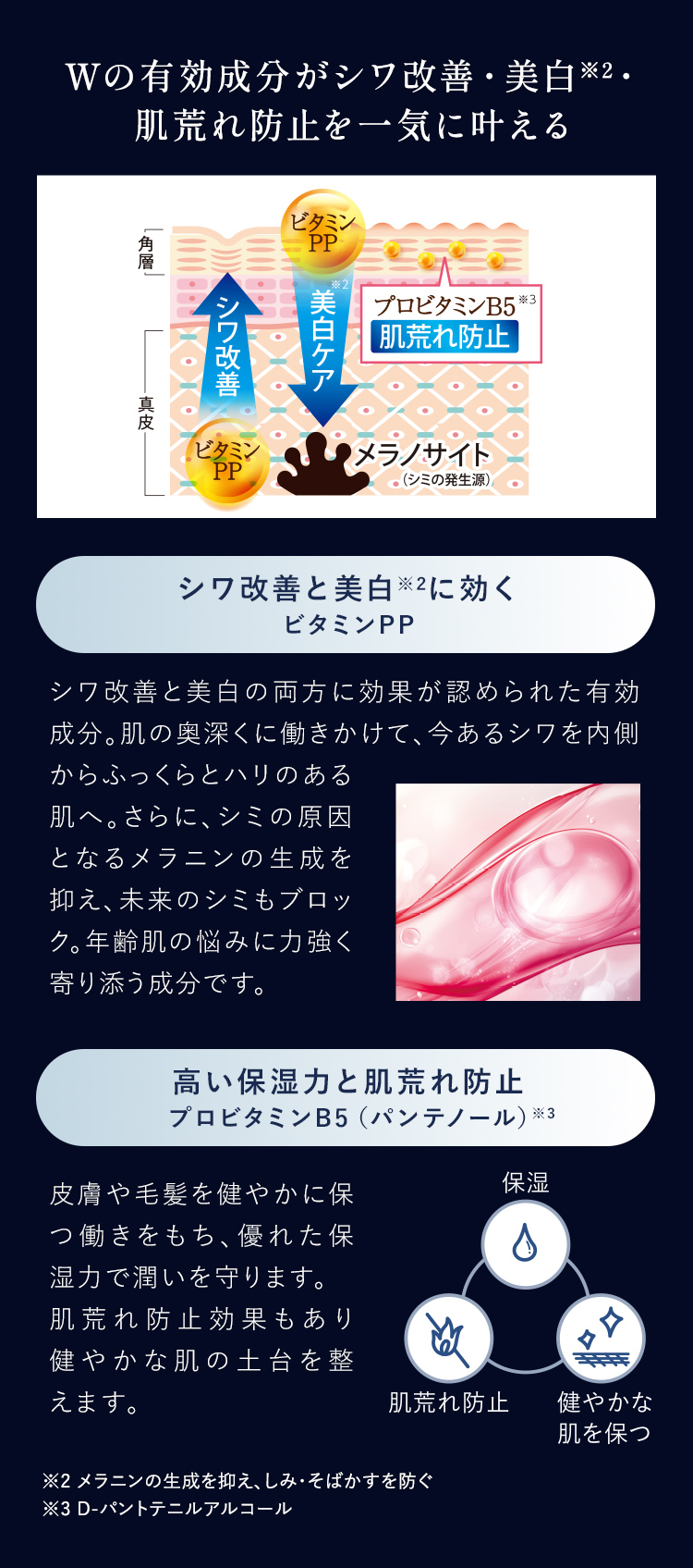 Wの有効成分がシワ改善・美白※2. 肌荒れ防止を一気に叶える
