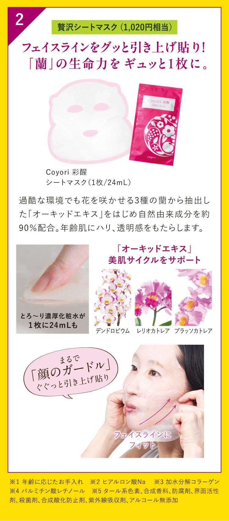 フェイスラインをグッと引き上げ貼り! 「蘭」の生命力をギュッと1枚に。