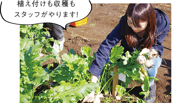 植え付けも収穫もスタッフがやります！