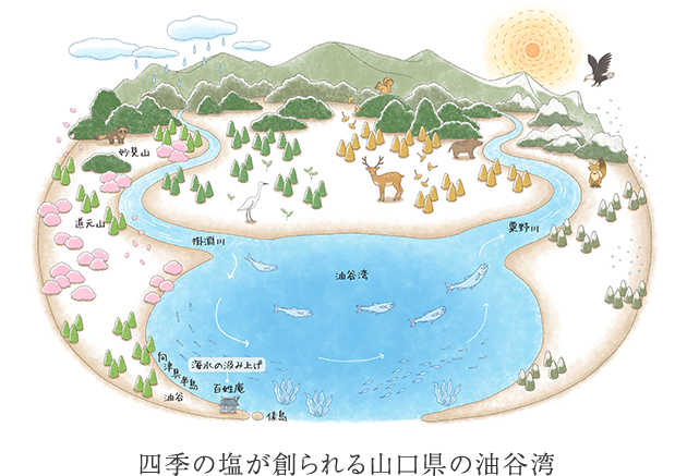 四季の塩が創られる山口県の油谷湾