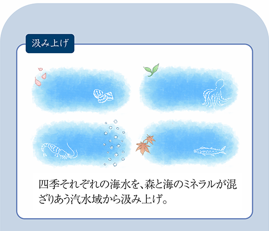 四季の塩の製法のこだわり　汲み上げ