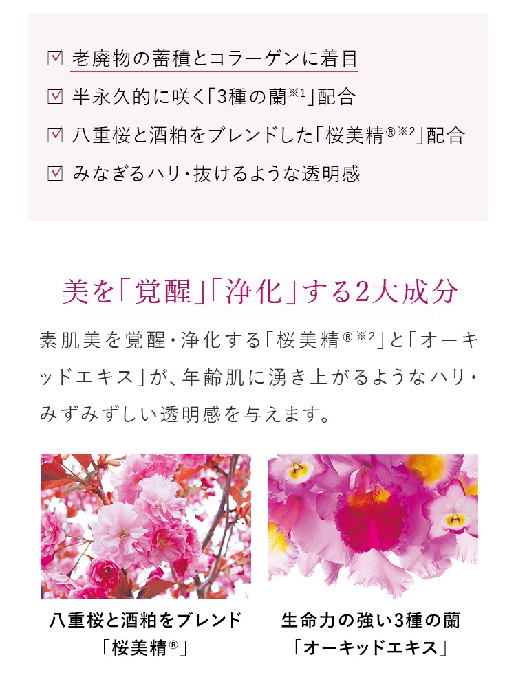 Coyori彩醒美容液オイル40mL｜【公式】Coyori（こより