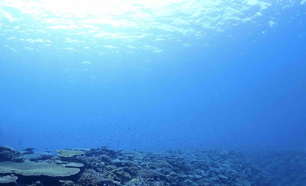 二十四節気＿大暑